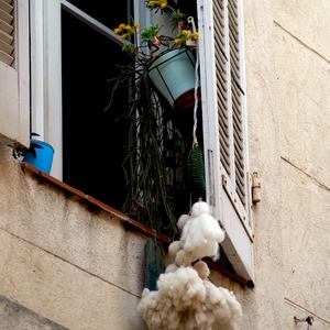 Fenêtre et volet avec plantes et laine pendante - France  - collection de photos clin d'oeil, catégorie rues